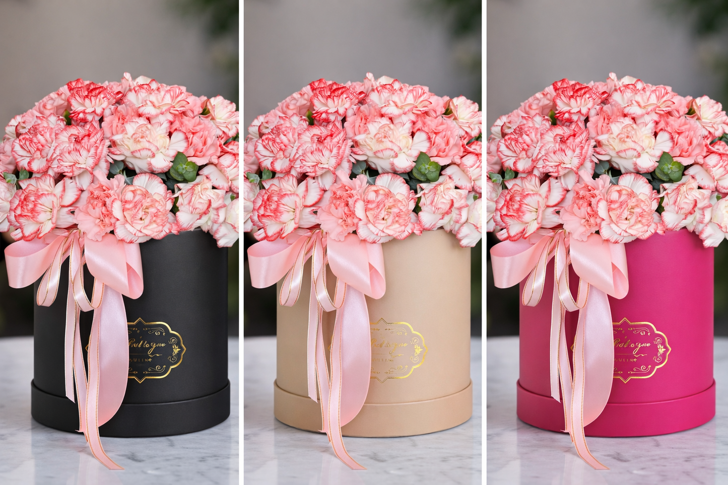 Luxy box