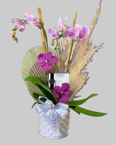 Orquideas